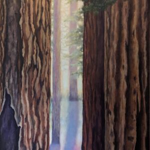 pxl 20230708 210707569 (1)